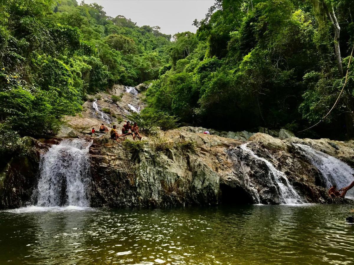 Donama River ปาโลมิโน ภายนอก รูปภาพ