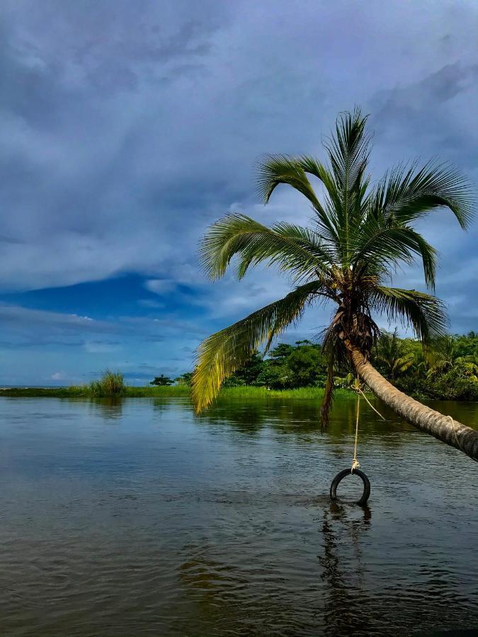 Donama River ปาโลมิโน ภายนอก รูปภาพ