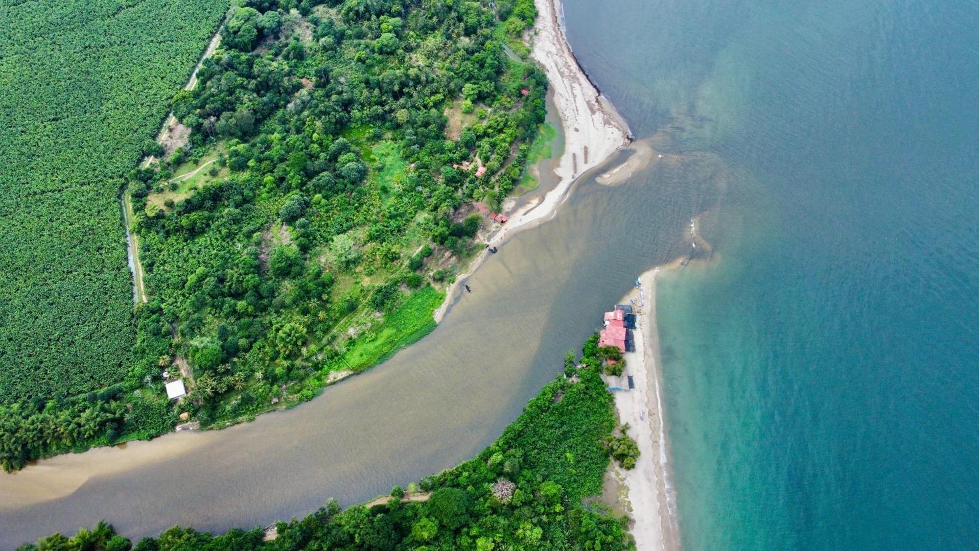 Donama River ปาโลมิโน ภายนอก รูปภาพ